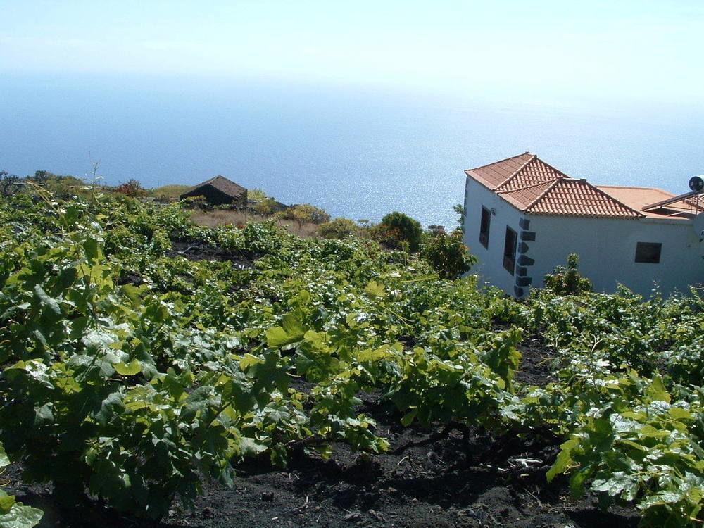 Casa Las Las Vinas Fuencaliente de la Palma Exterior foto